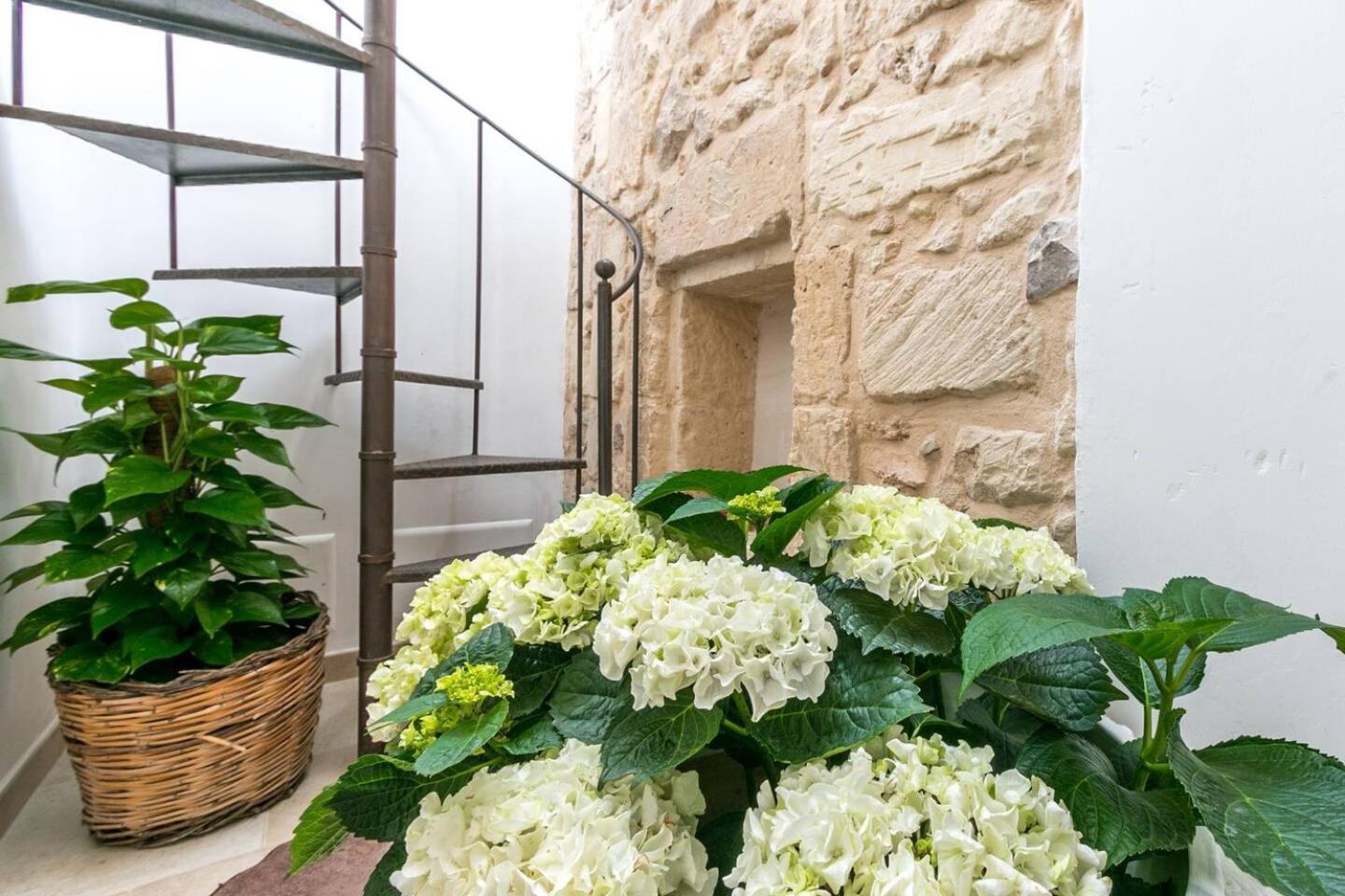 Caminanti Bed & Breakfast Lecce Eksteriør bilde